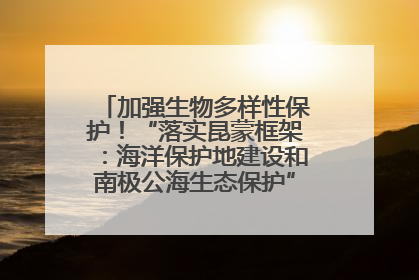 加强生物多样性保护！“落实昆蒙框架：海洋保护地建设和南极公海生态保护”主题论坛将举办